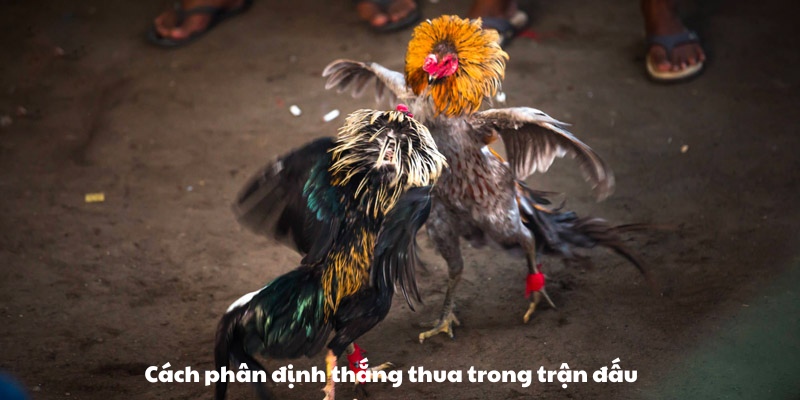 Cách phân định thắng thua trong trận đấu